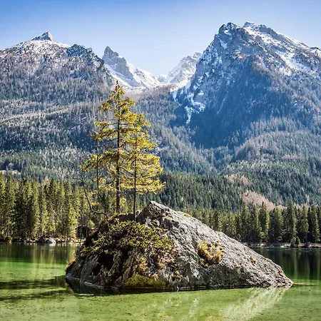 Scheffmannlehen Nr 4 Apartman *