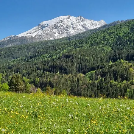 Appartamento Scheffmannlehen Nr 4 *